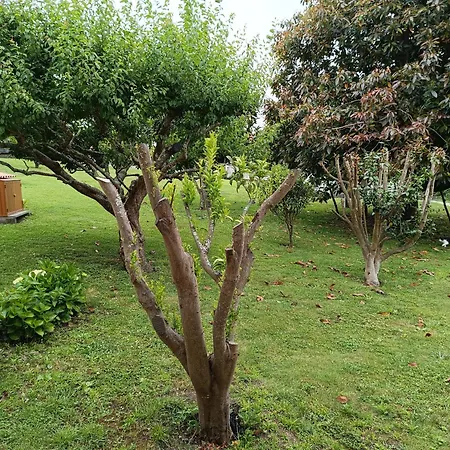 Apartamento Casa Padriñán Sanxenxo