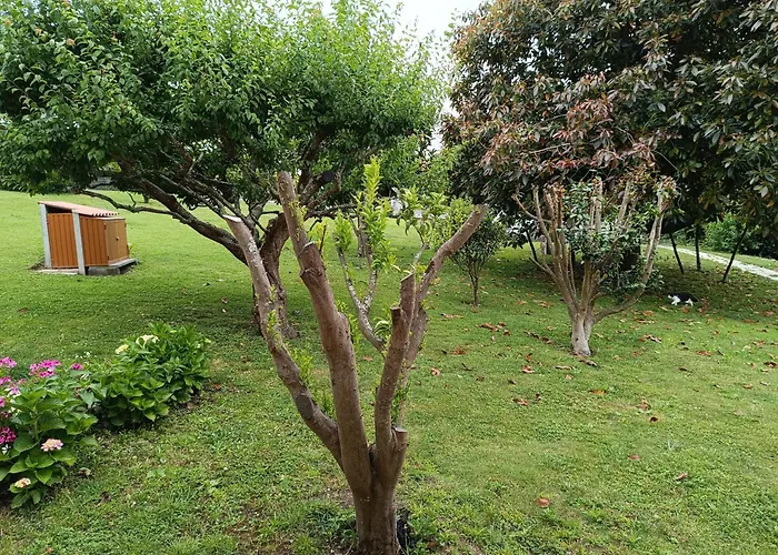 Apartamento Casa Padriñán Sanxenxo